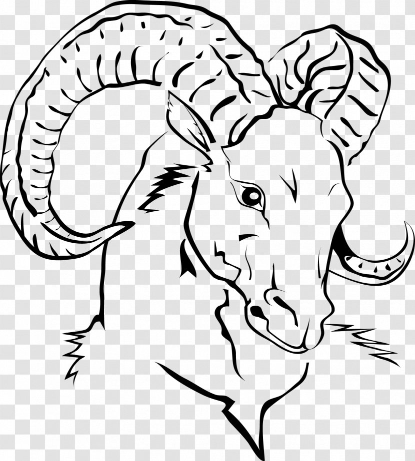 Goat Sheep Domestication Of Animals - Frame - Vector Line Drawing Head Transparent PNG