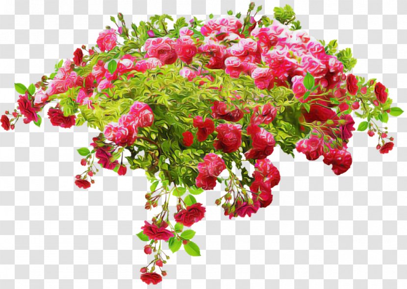Flower Plant Bougainvillea Pink Cut Flowers - Rosa Wichuraiana Branch Transparent PNG