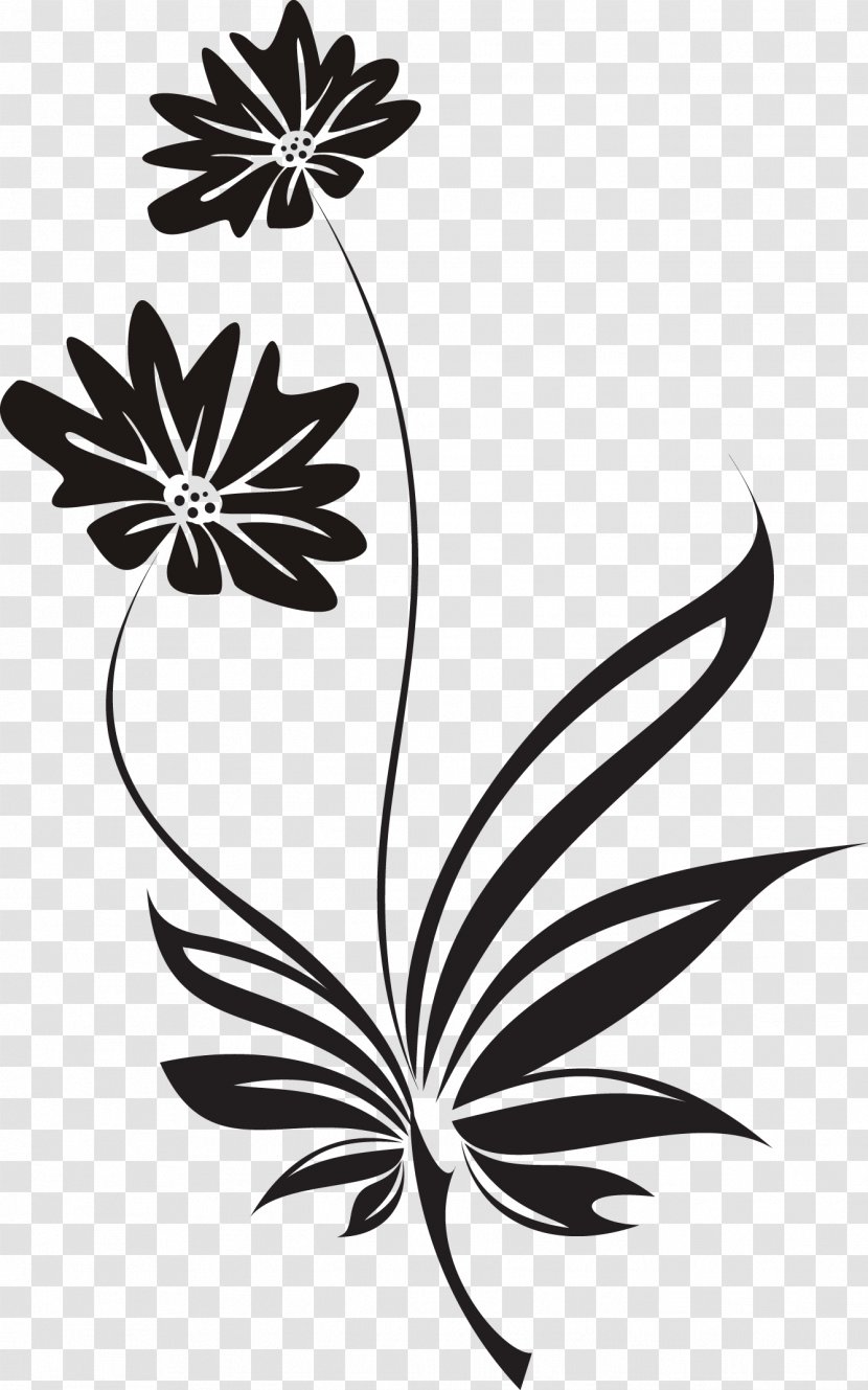 Plants Trivia Flower Black And White - Pollinator - Plant Transparent PNG