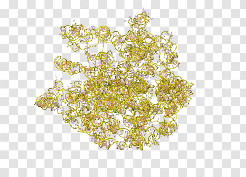 23S Ribosomal RNA Ribosome Prokaryotic Large Subunit - Electron Microscope - 5s Rna Transparent PNG