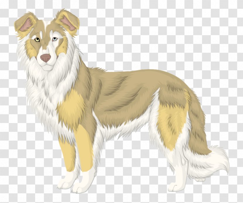 Rough Collie Dog Breed Companion - Carnivoran - Sheep Transparent PNG