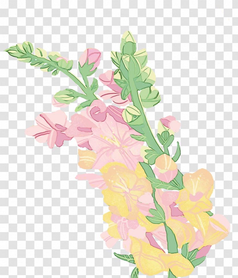 Floral Design - Plant Stem - Bouquet Sweet Pea Transparent PNG