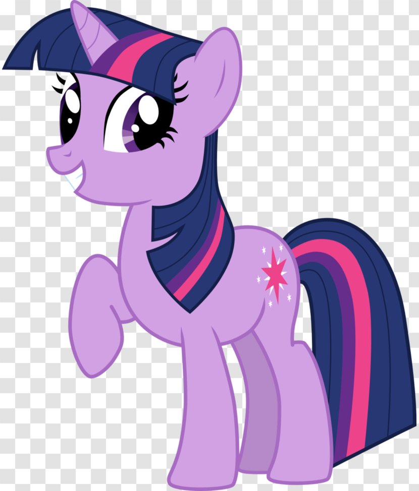 Pony Twilight Sparkle Derpy Hooves Image Pinkie Pie - Fictional Character - Cheerful Transparent PNG