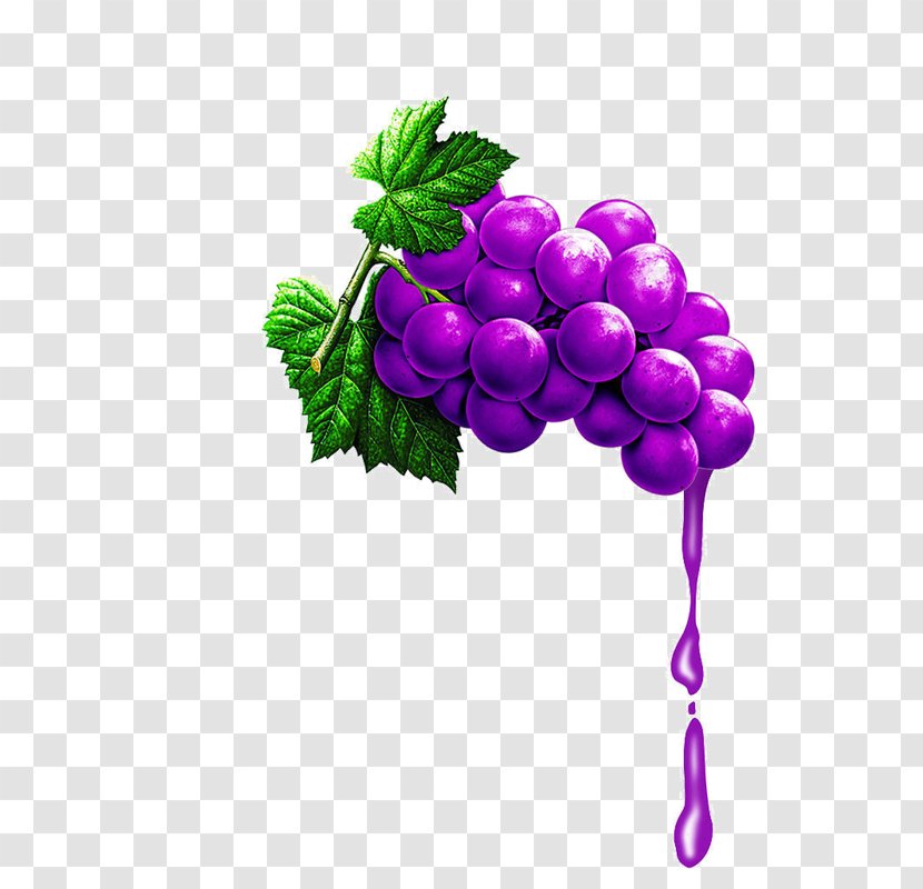 Grape Juice Grapevines Fruit - Plant Transparent PNG