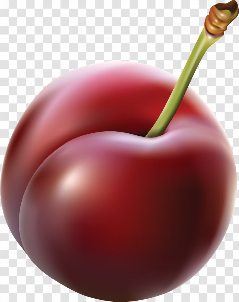 Plum Clip Art - Superfood - Image Transparent PNG