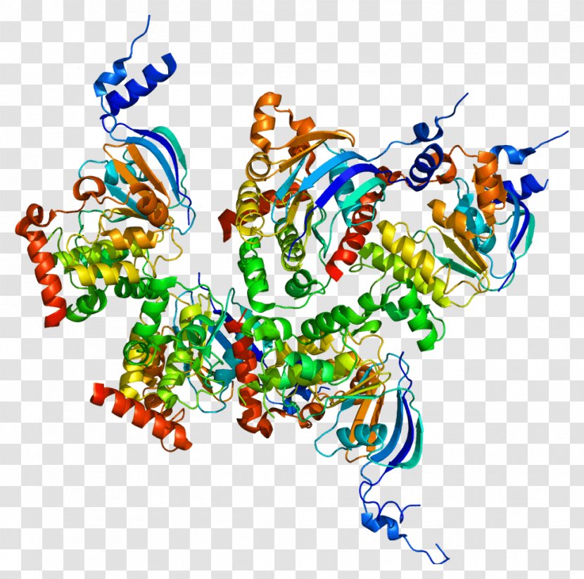 Cystic Fibrosis Transmembrane Conductance Regulator Gene Protein Chloride Channel - Organism - Mutation Transparent PNG