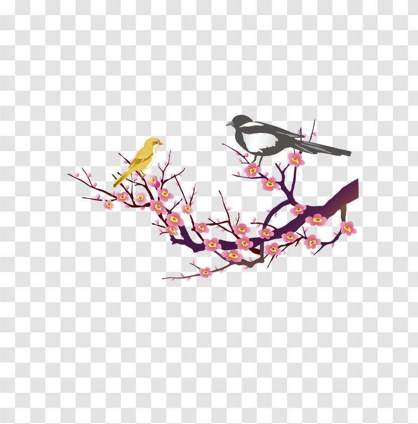 Paper Clip Art - Birds Plum Branches Transparent PNG