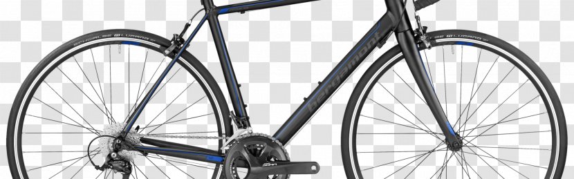 Merida Industry Co. Ltd. Racing Bicycle Cycling Giant Bicycles - Road Transparent PNG