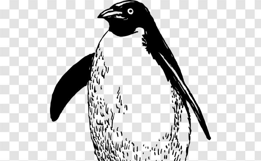 Emperor Penguin Bird Drawing Clip Art Transparent PNG
