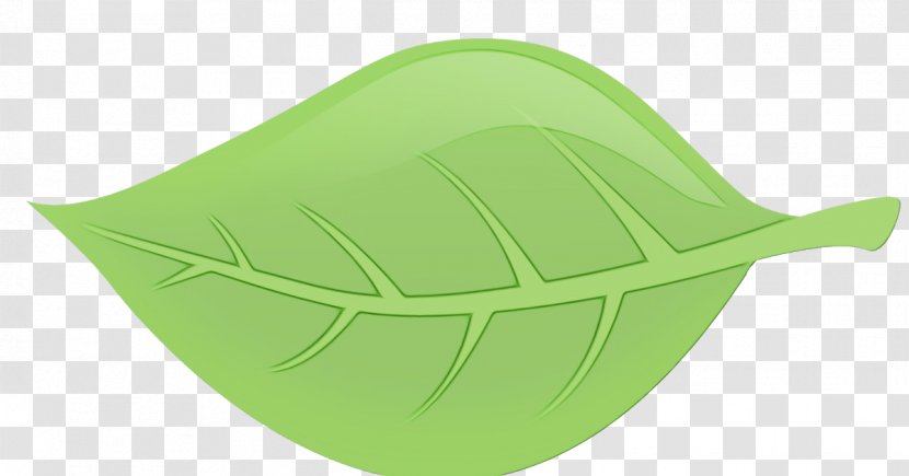 Green Leaf Background - Cap Plant Transparent PNG