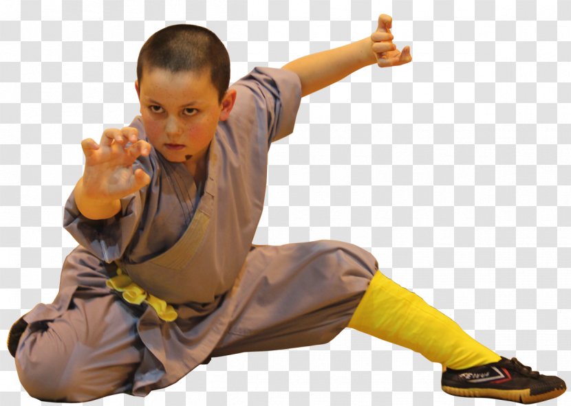 Shaolin Monastery Kung Fu Temple UK Tiger Hu Chen Chinese Martial Arts - Joint Transparent PNG