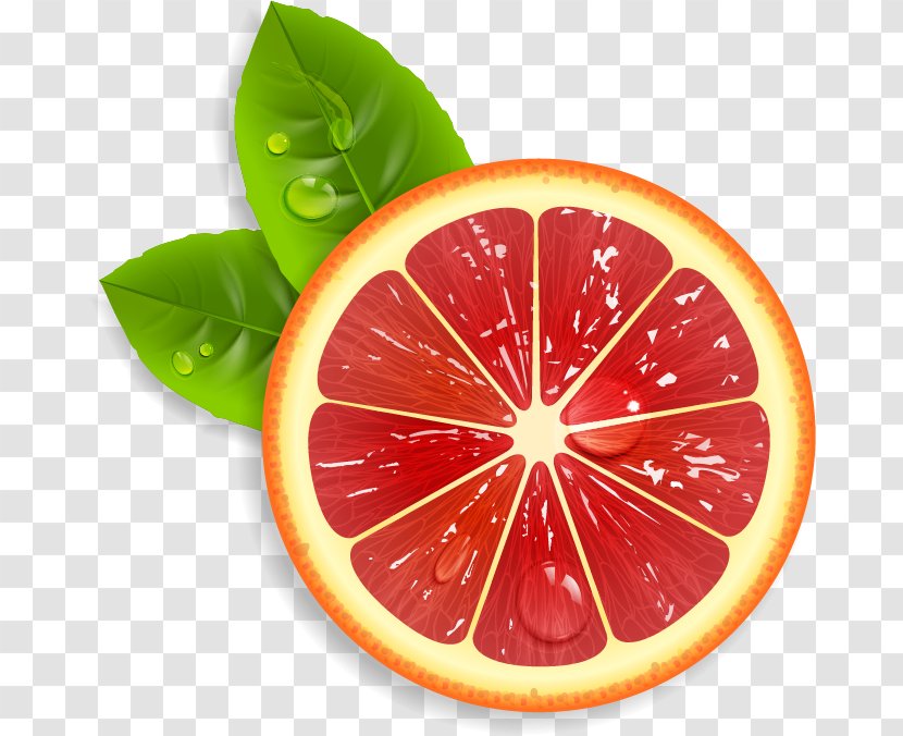 Juice Lemon Grapefruit Orange - Lime - Red Transparent PNG