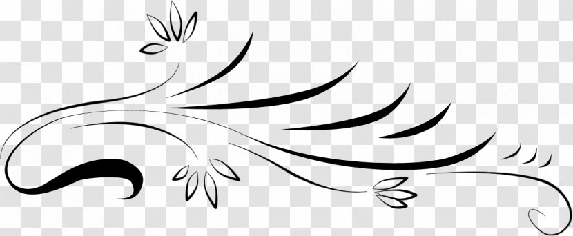 Clip Art Line Plant Stem Leaf Flower - Calligraphy - Autumn Transparent PNG