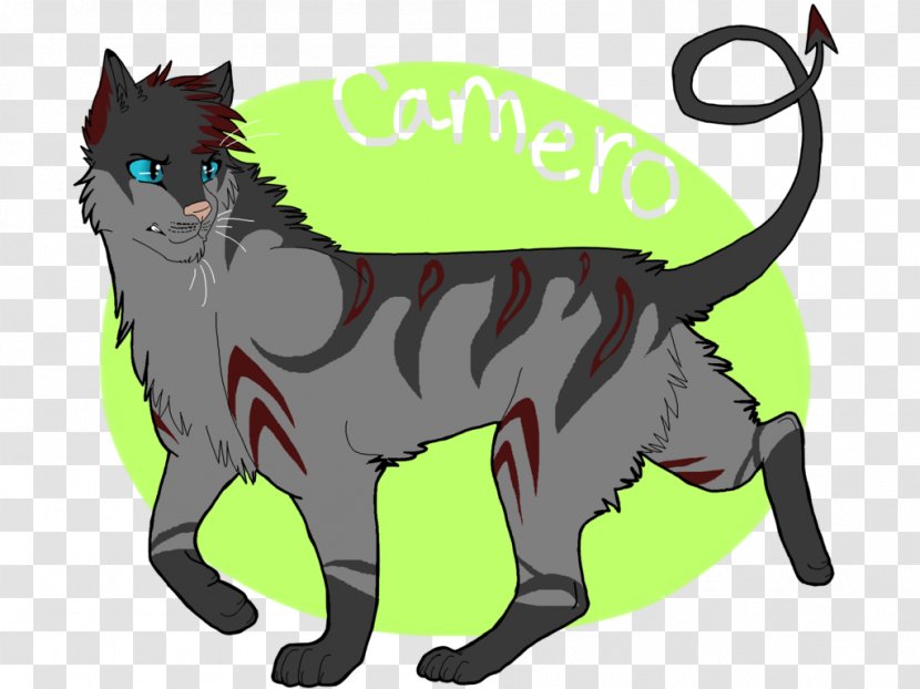 Whiskers Cat Canidae Dog - Like Mammal Transparent PNG