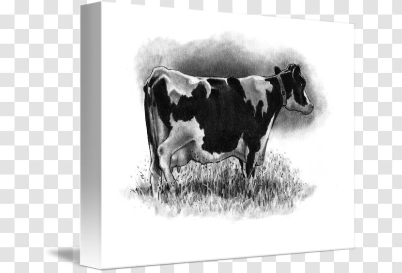 Dairy Cattle Holstein Friesian Taurine Drawing Canvas Print - Cow Transparent PNG