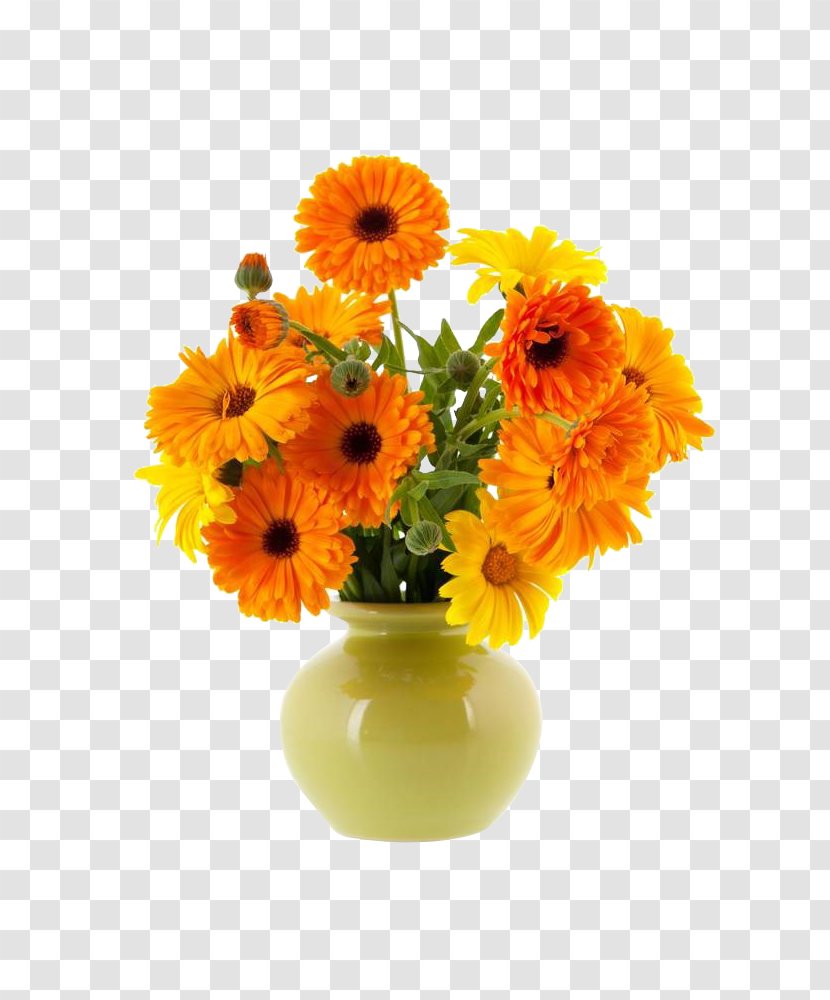 Vase Flower Calendula Officinalis - Shutterstock - Marigolds And Vases Transparent PNG