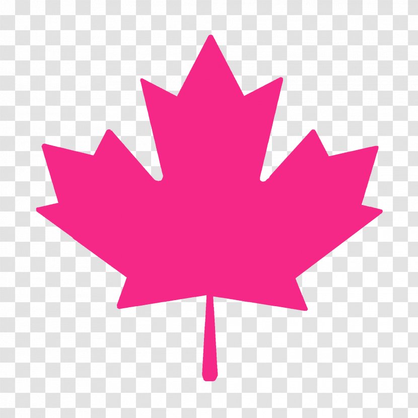 Flag Of Canada Maple Leaf Canadian Red Ensign - Pink Transparent PNG