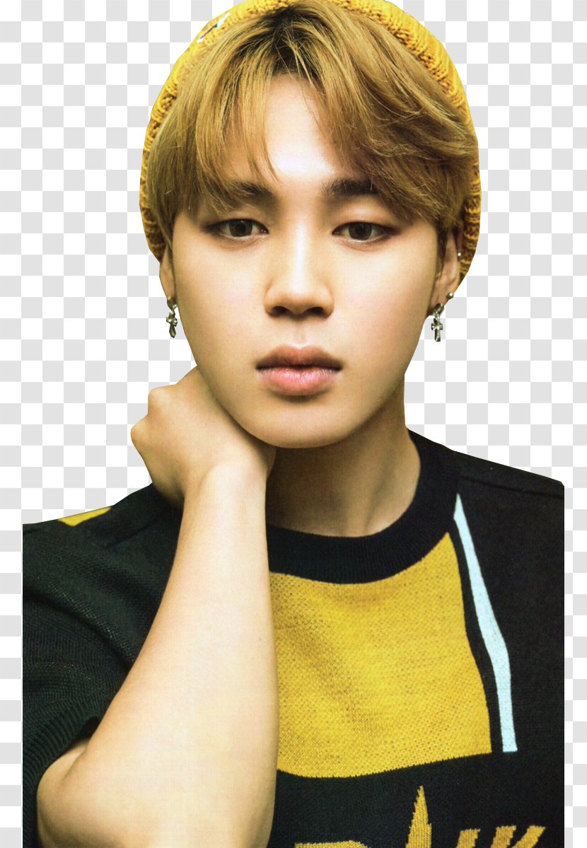 Jimin 2017 BTS Live Trilogy Episode III: The Wings Tour Korean Idol - Cartoon - Jin Transparent PNG