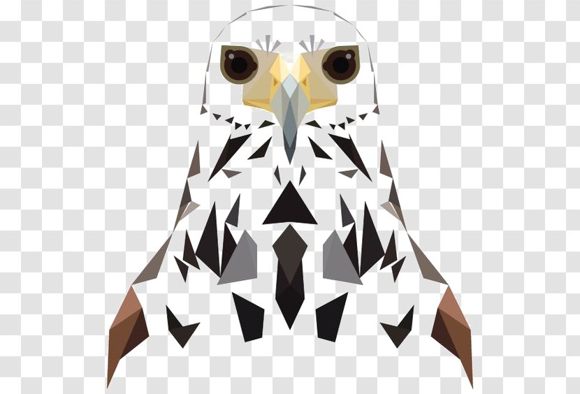 Owl Bird Hawk - Eagle Transparent PNG
