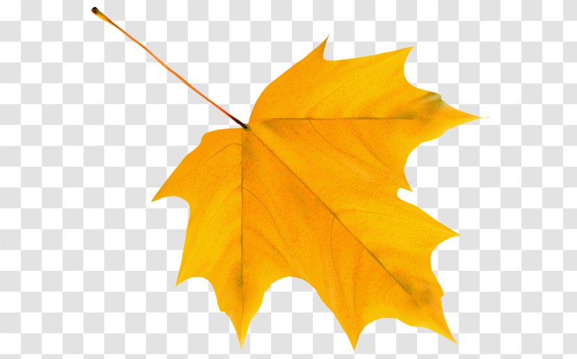 Autumn Leaf Color Clip Art - Yellow Transparent PNG