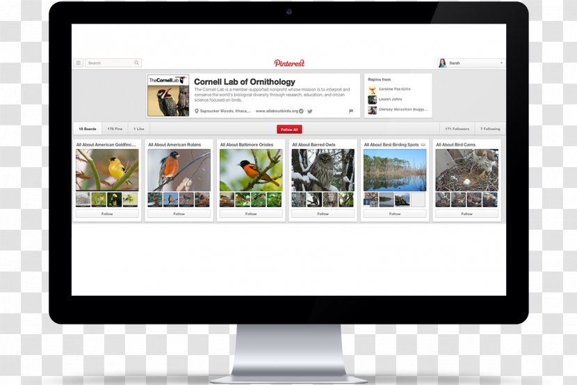 Web Page Multimedia Computer Monitors Organization Display Advertising - Ornithology Transparent PNG