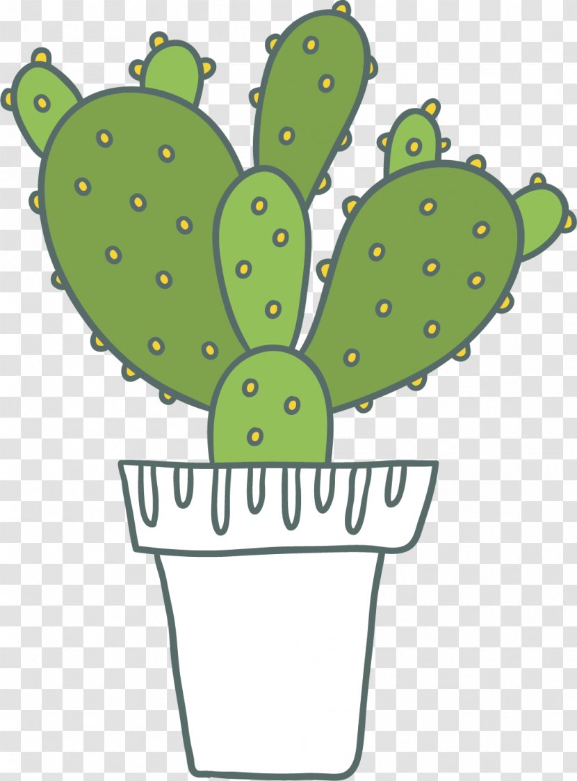 Cactaceae Green Yellow - Drawing - Vector Hand-painted Cactus Transparent PNG