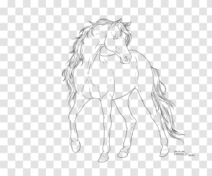 Arabian Horse Boulonnais Mane Mustang Sketch - Tail Transparent PNG