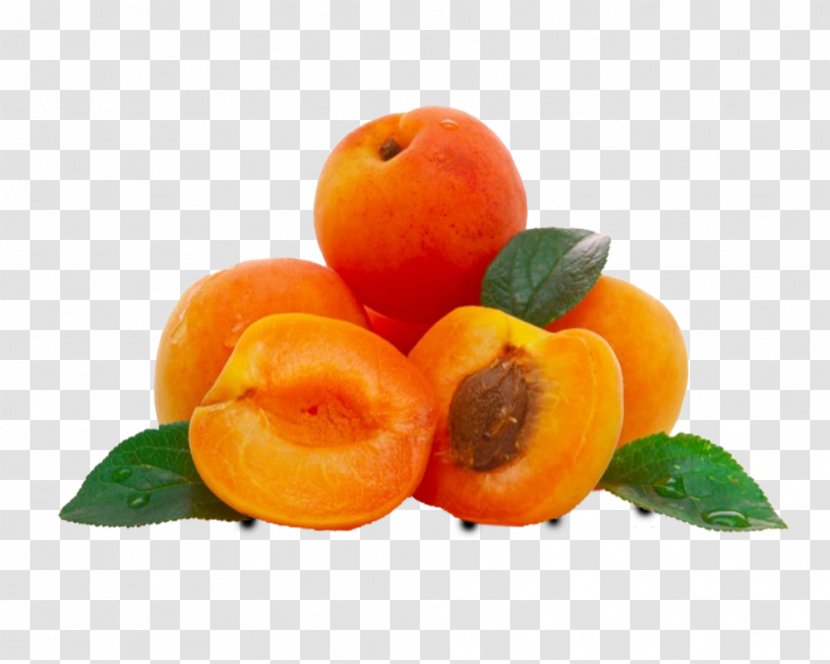 Apricot Oil Kernel Carrier - Vegetable Transparent PNG