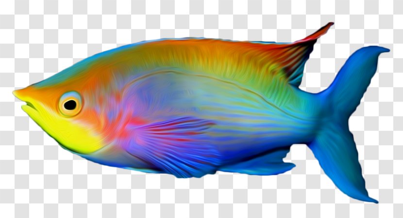 Tropical Fish Clip Art - Marine Biology Transparent PNG