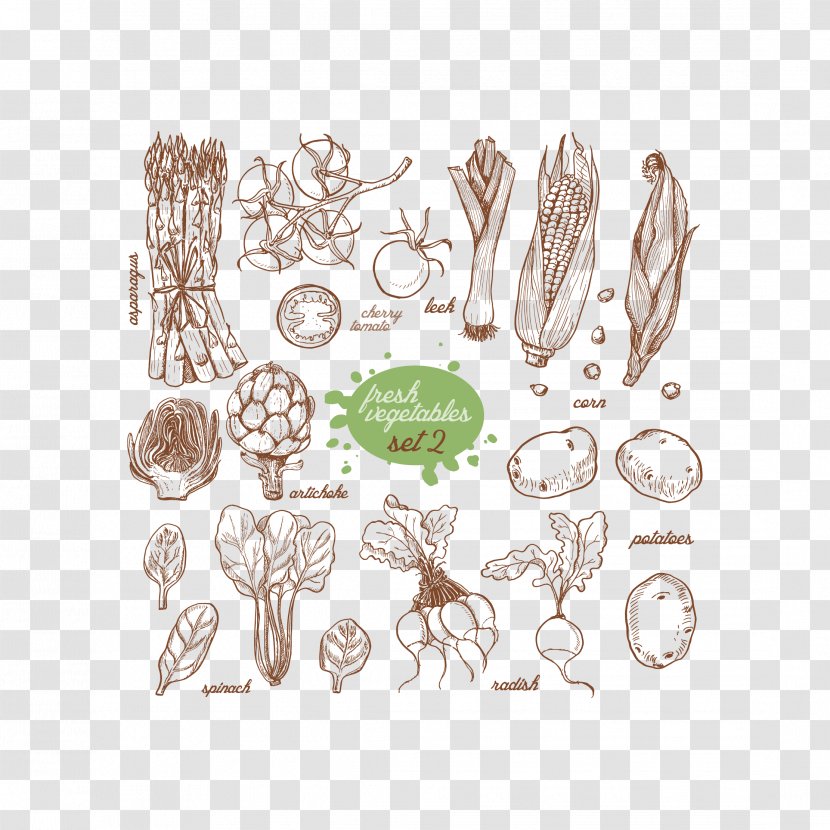 Vegetable Food Illustration - Fruit - Vegetables Avoid Drawing Transparent PNG