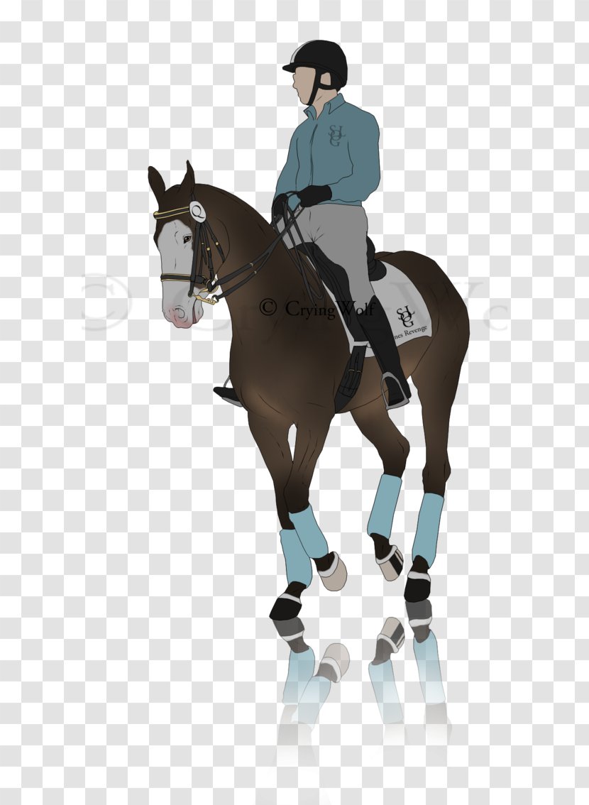 Hunt Seat Rein Horse Stallion Pony - First Step Transparent PNG