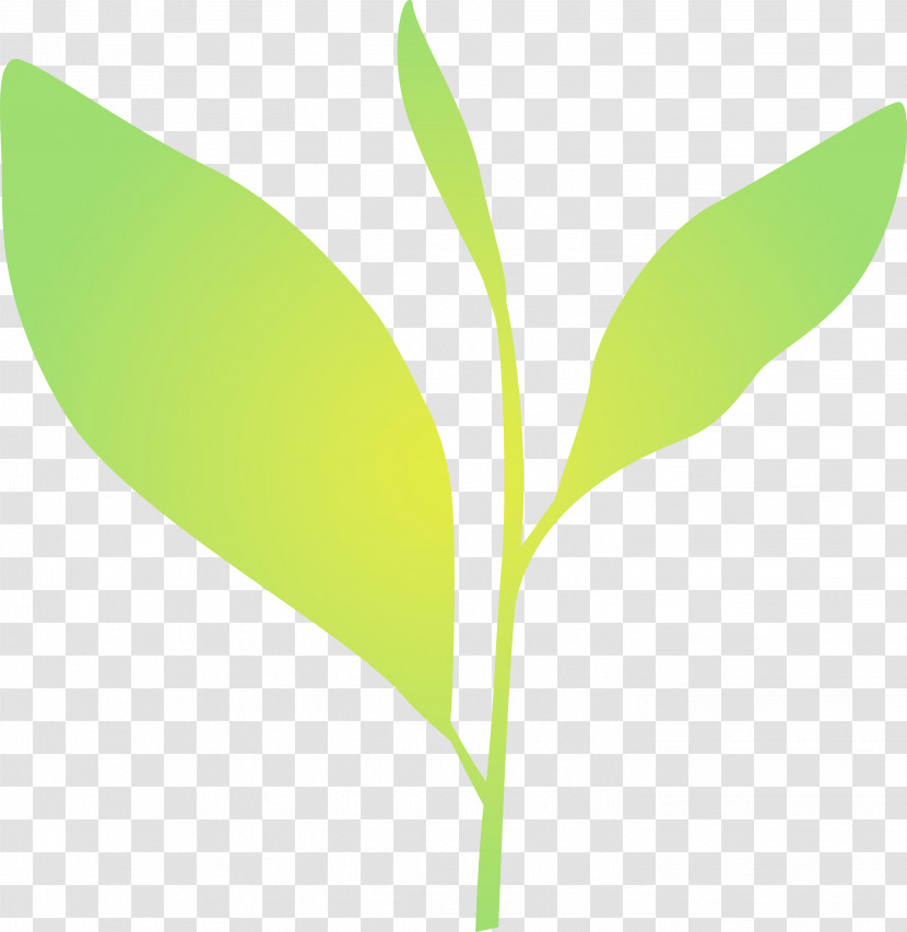 Leaf Plant Flower Plant Stem Lily Of The Valley Transparent PNG