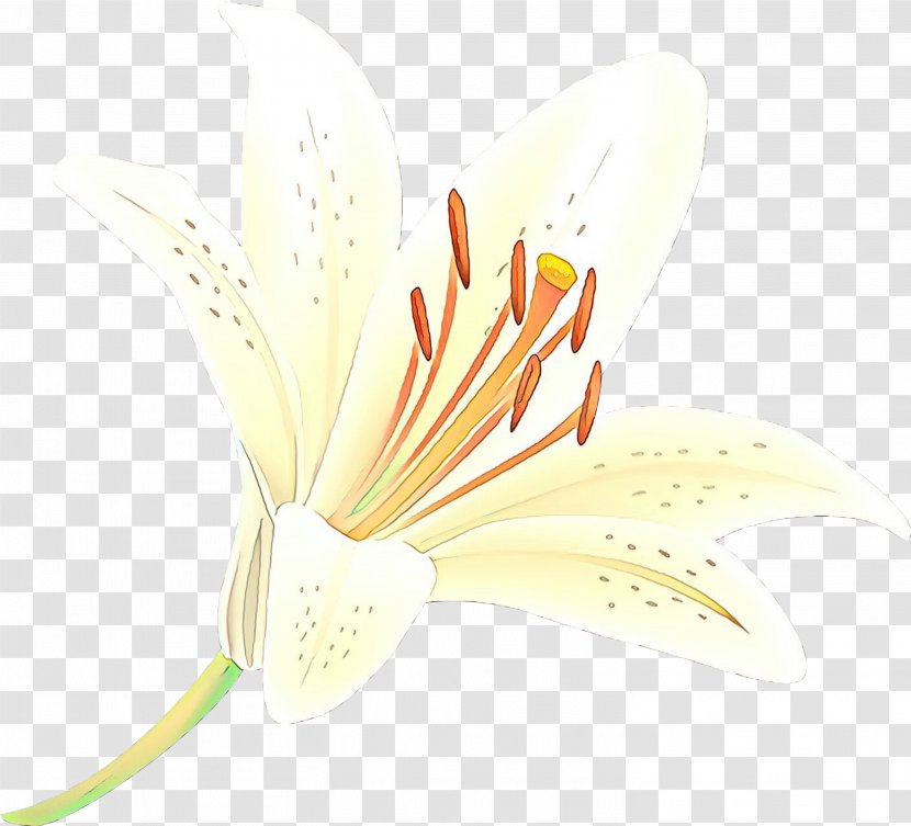 Yellow Flower Plant Pedicel Transparent PNG