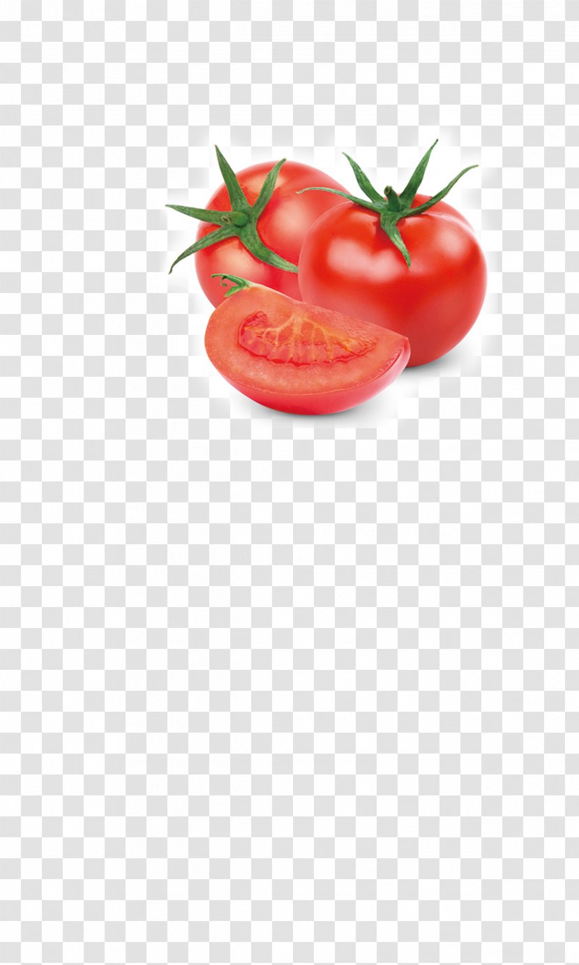 Tomato Vegetable Fruit Auglis Food - Red Transparent PNG