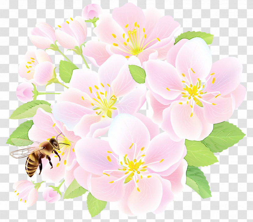 Flower Petal Pink Plant Rosa Rubiginosa Transparent PNG