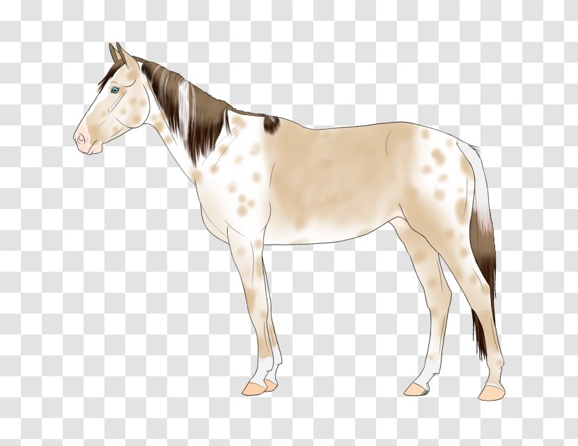 Mule Mustang Stallion Rein Mare - Horse Harnesses Transparent PNG