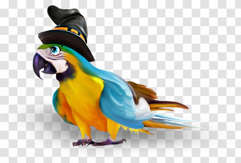 Parrot Halloween Perroquet Clip Art - Perico - Magic Transparent PNG