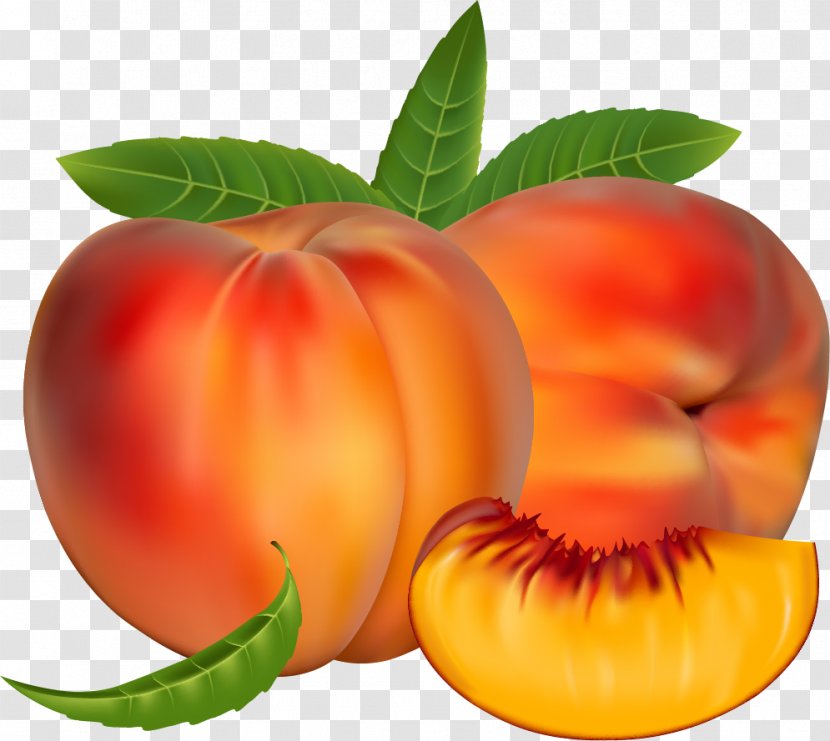 Fruit Illustrator - Peach Transparent PNG