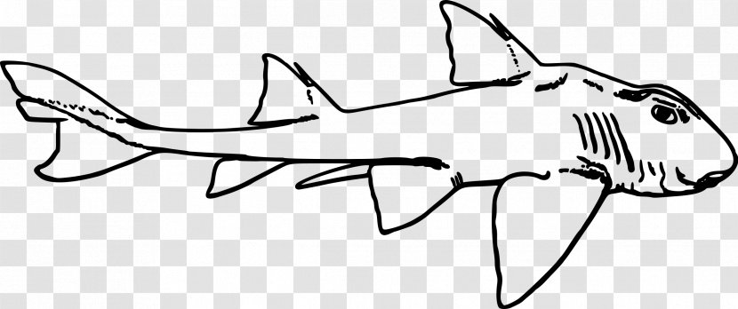 Port Jackson Shark Clip Art - Wing Transparent PNG
