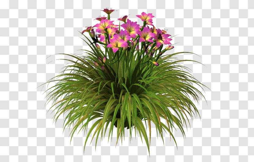 Floral Design Flowerpot Cut Flowers Grasses Houseplant Transparent PNG
