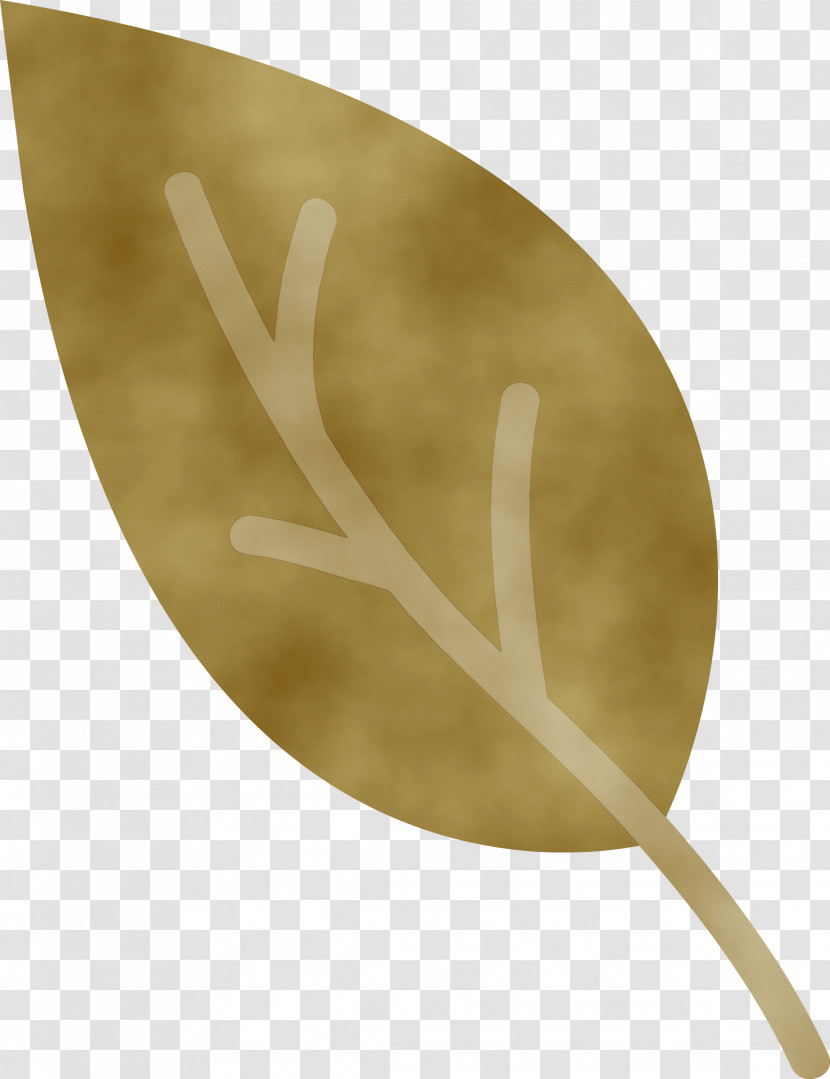 Leaf Antler Plants Biology Plant Structure Transparent PNG