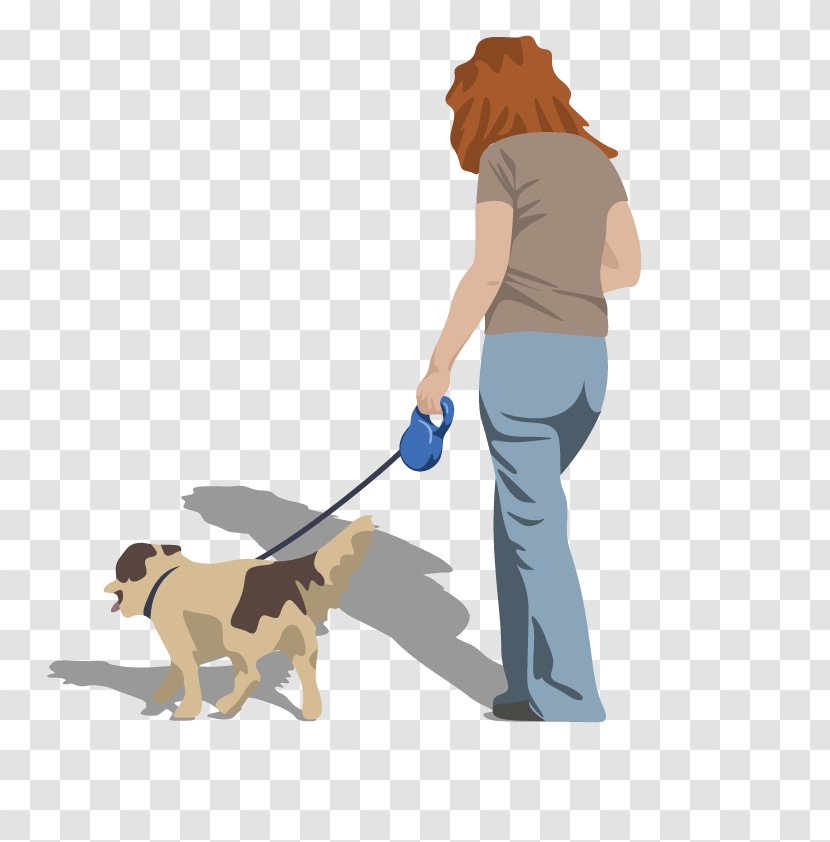 Dog Cartoon Illustration - Drawing - Vector Walkers Transparent PNG