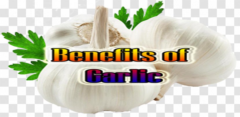 Honey Garlic Sauce Eating Food Spice - Cooking - Benefits Transparent PNG