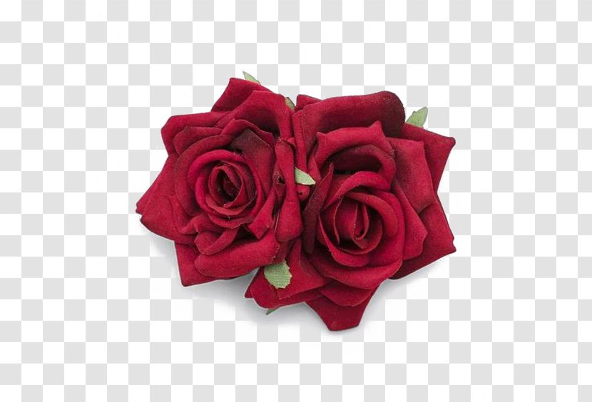 Garden Roses Beach Rose Red Petal Flower - Cut Flowers - Free Button Elements Transparent PNG