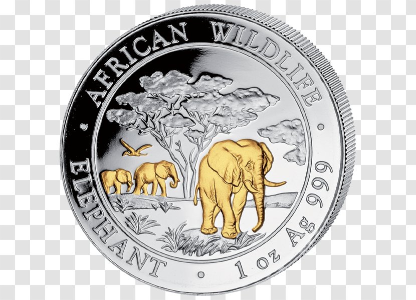 African Elephant Silver Coin Indian Elephantidae Transparent PNG