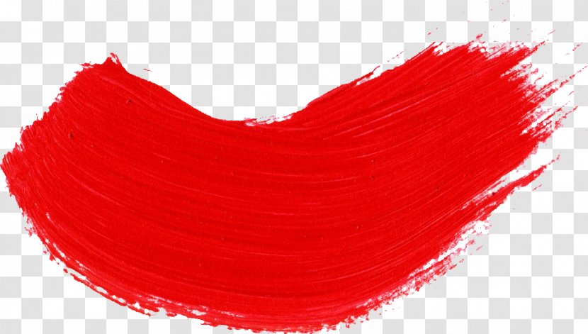 Paintbrush - Photography - Red Rose Transparent PNG