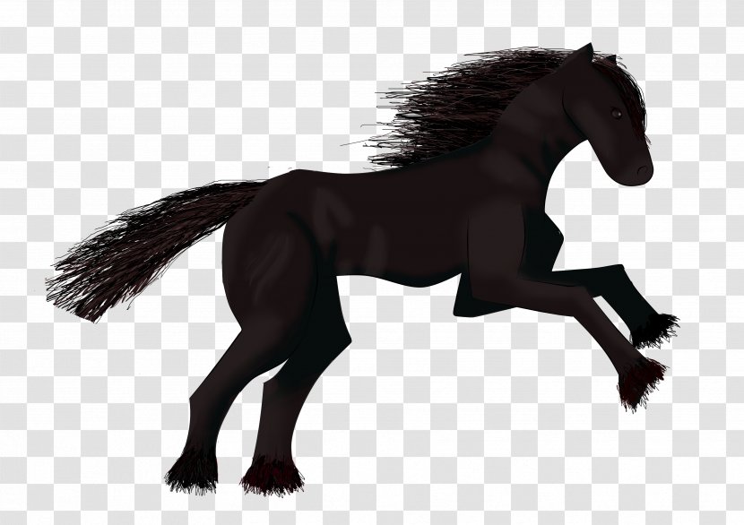 Mane Mustang Stallion Foal Colt Transparent PNG