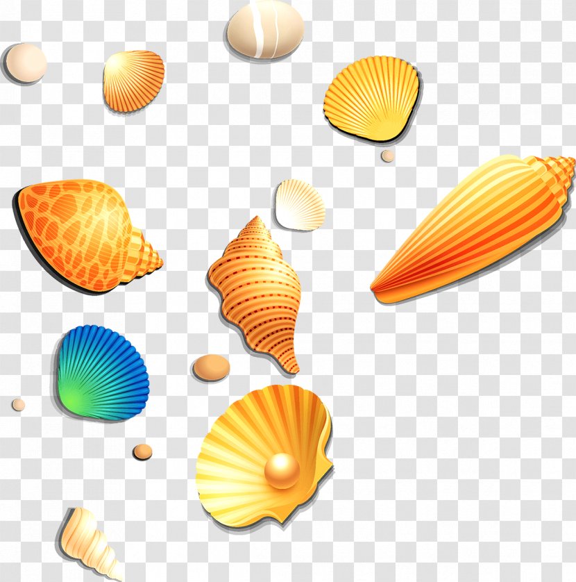 Seashell Conch - Orange - Shell Transparent PNG