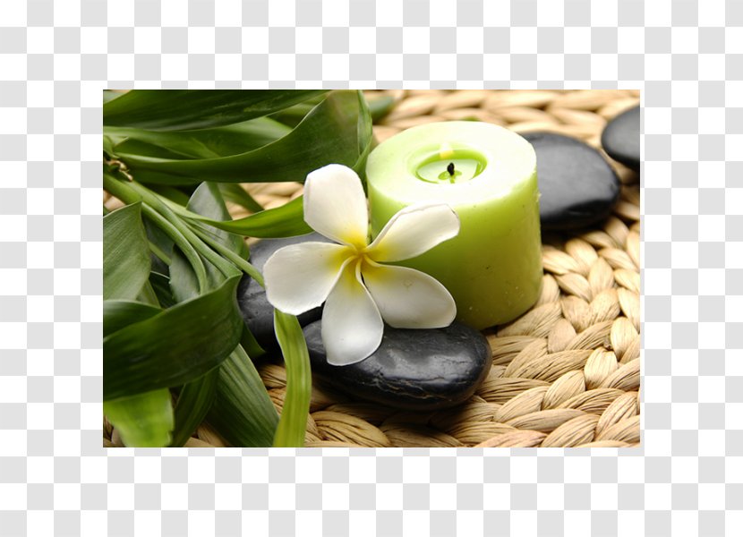 Shine SPA Massage Beauty Parlour Cosmetology - Parlor Transparent PNG