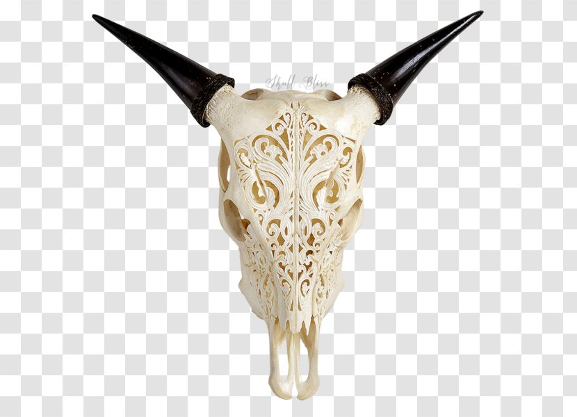 Cattle Skull Horn Barbed Wire Carving Transparent PNG